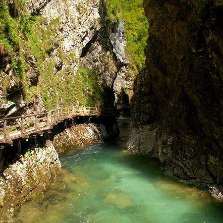 Fantastic Brglez Bohinjska Bela