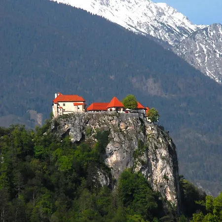 Fantastic Brglez * Bohinjska Bela