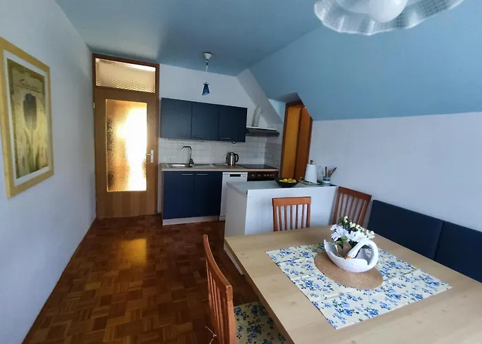 Apartament Fantastic Brglez