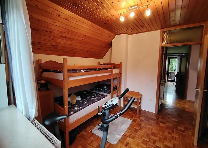 Apartament Fantastic Brglez *