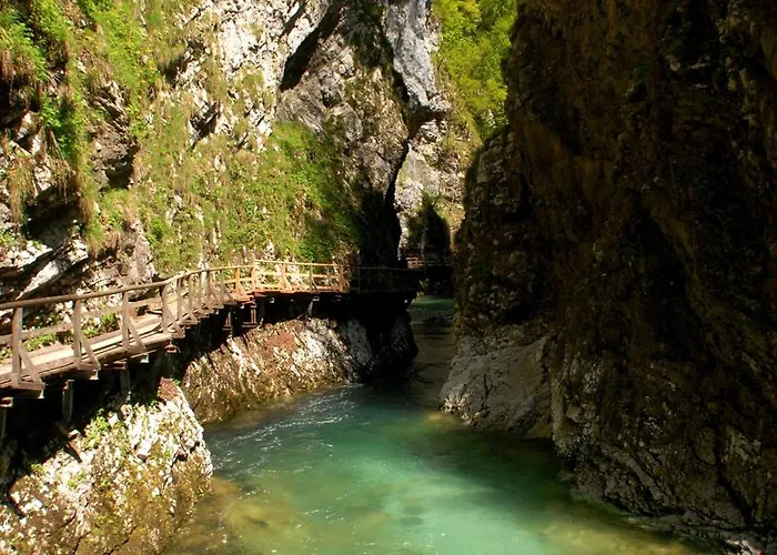 Fantastic Brglez Bohinjska Bela