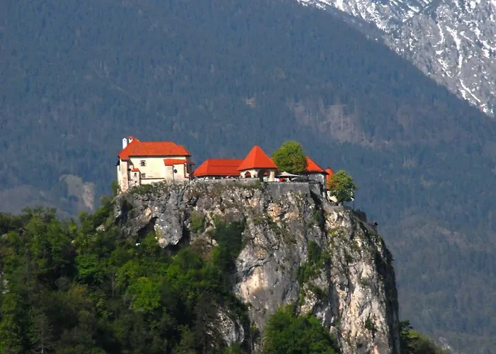 Fantastic Brglez * Bohinjska Bela